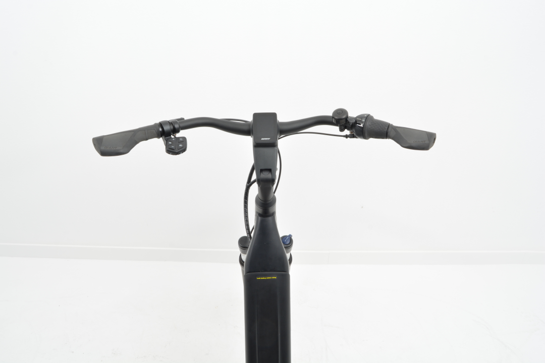 Giant DailyTour E+ 2 L Dames L