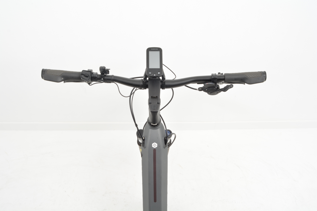 Victoria E-Touring 12.9 Heren