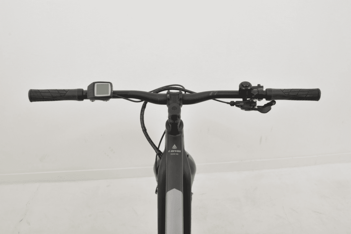 Bergamont E-Revox