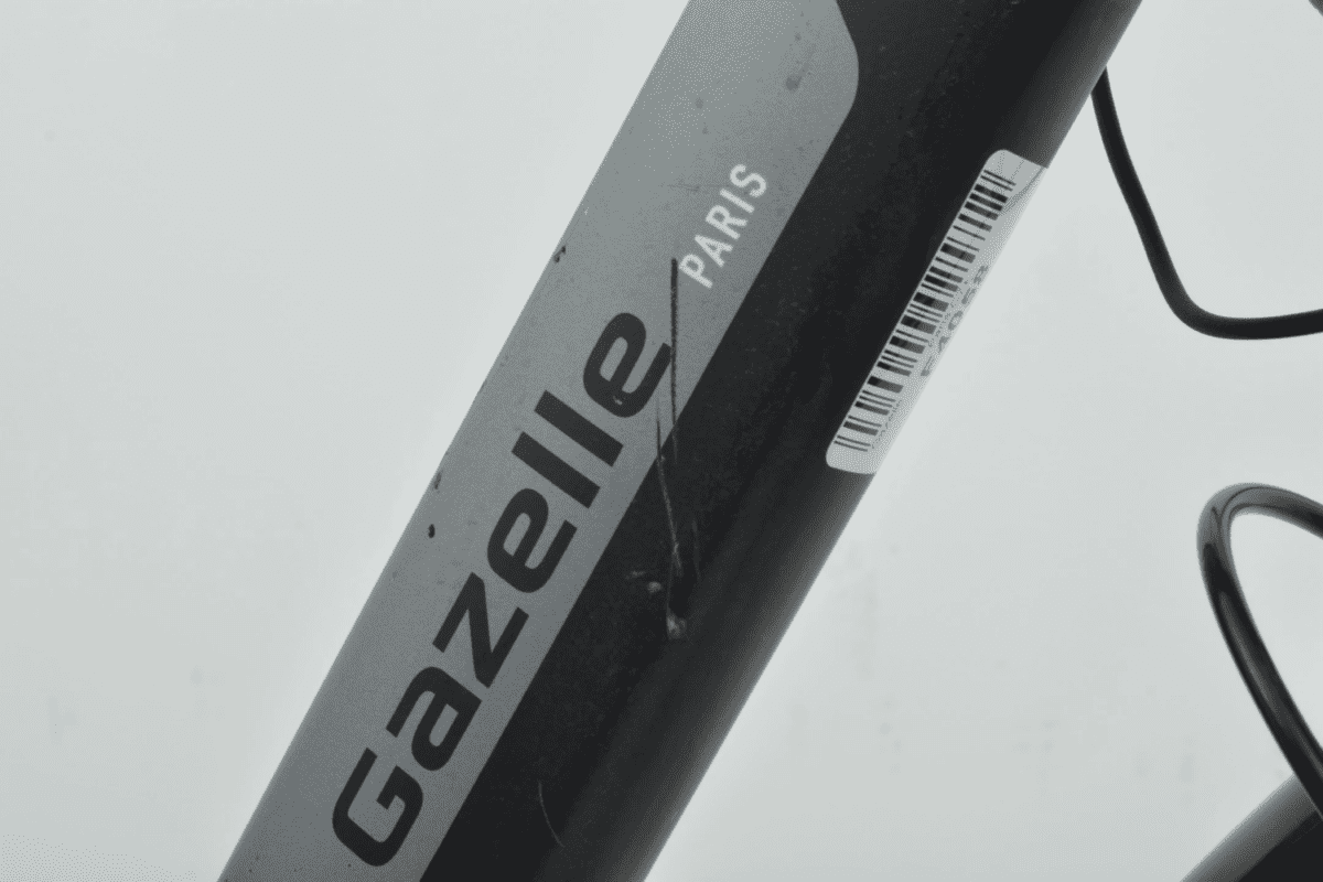 Gazelle Paris C7+ Dames