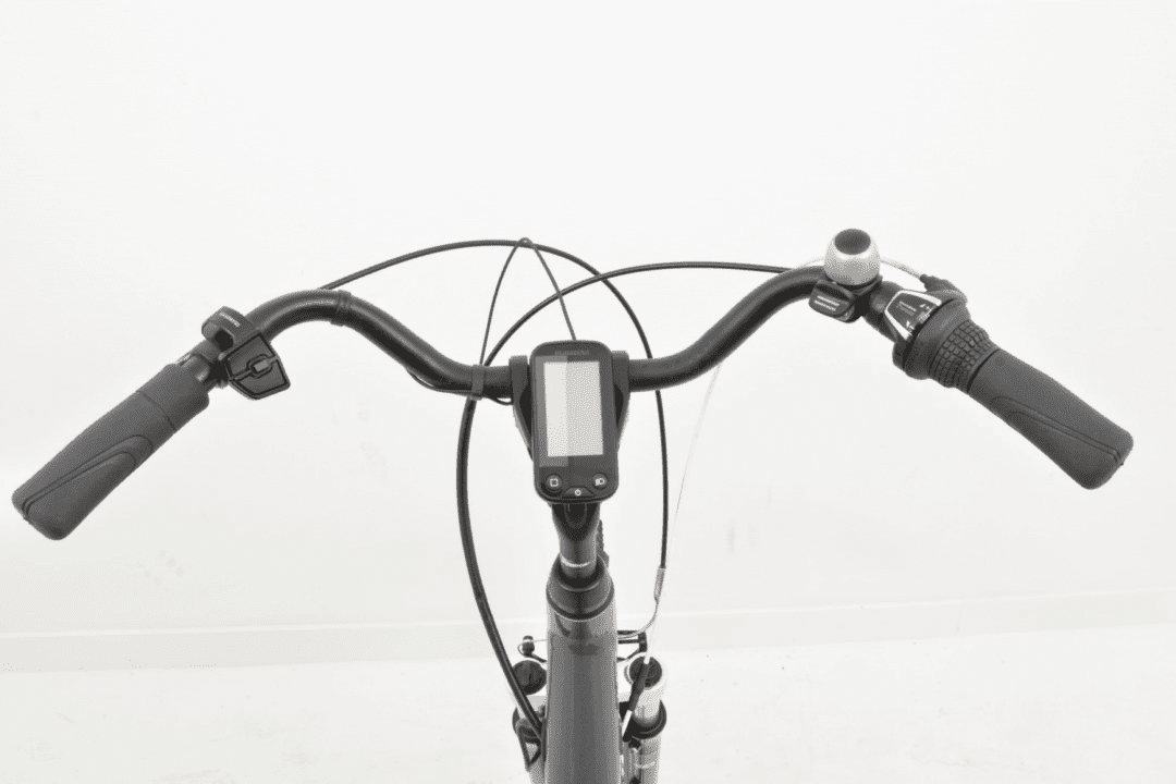 Oxford Brighton Dames