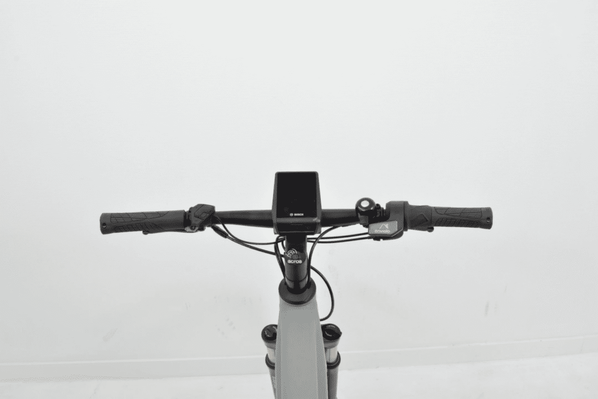 Riese & Muller ROADSTER VARIO Heren 51