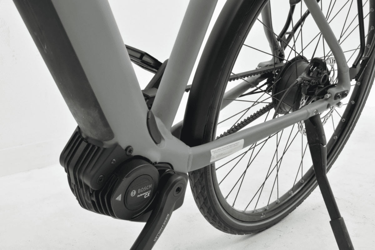 Riese & Muller ROADSTER VARIO Heren 51