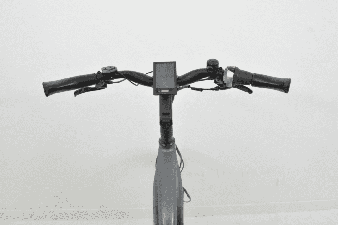 Vandijck Kalii 3.0 belt Dames 46