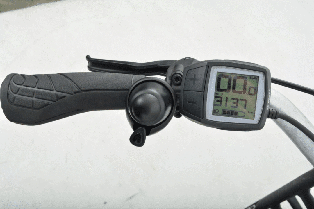 Gazelle Miss Grace Dames 46