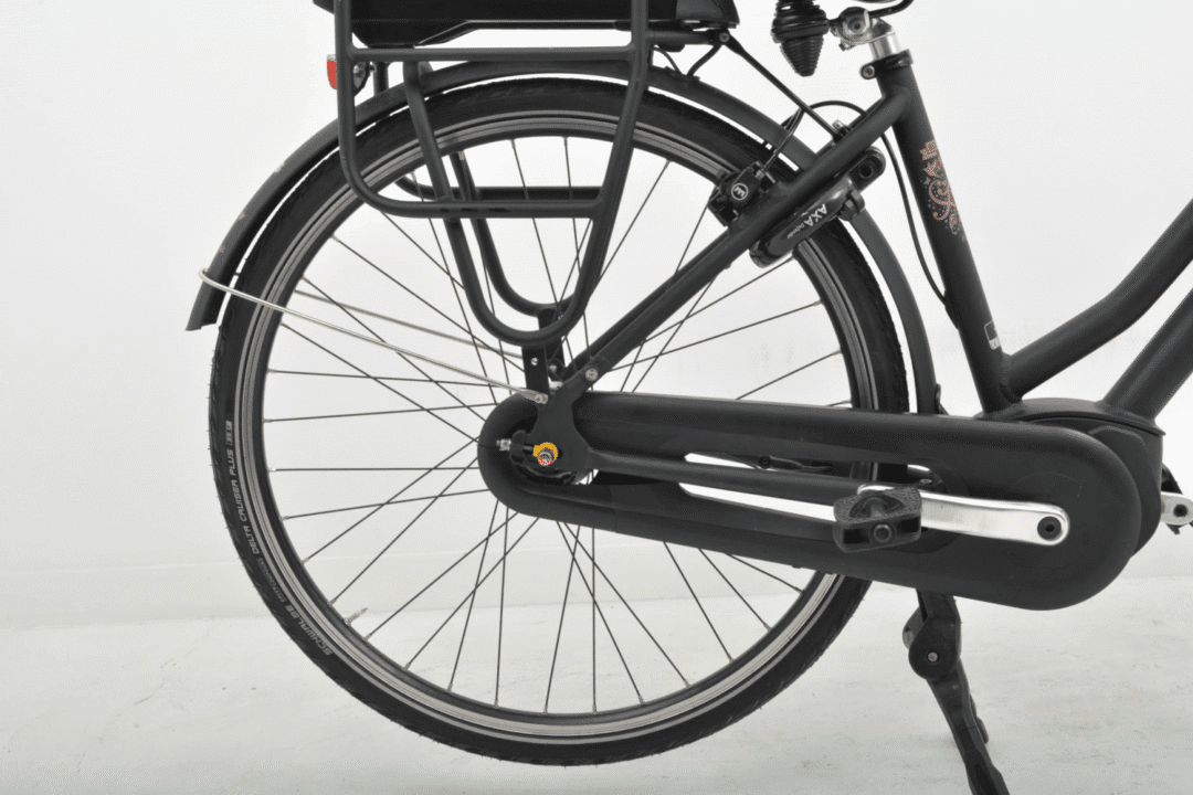 Gazelle Miss Grace Dames 46