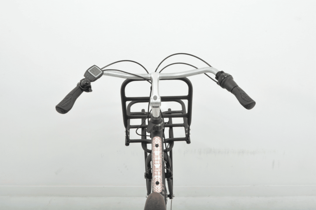 Gazelle Miss Grace Dames 46