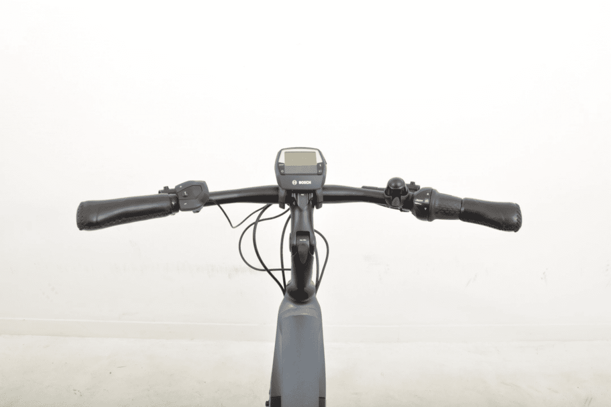 Gazelle ultimate C8 Heren