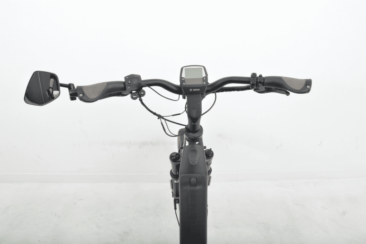 Riese & Muller Nevo gt rohloff Dames 51