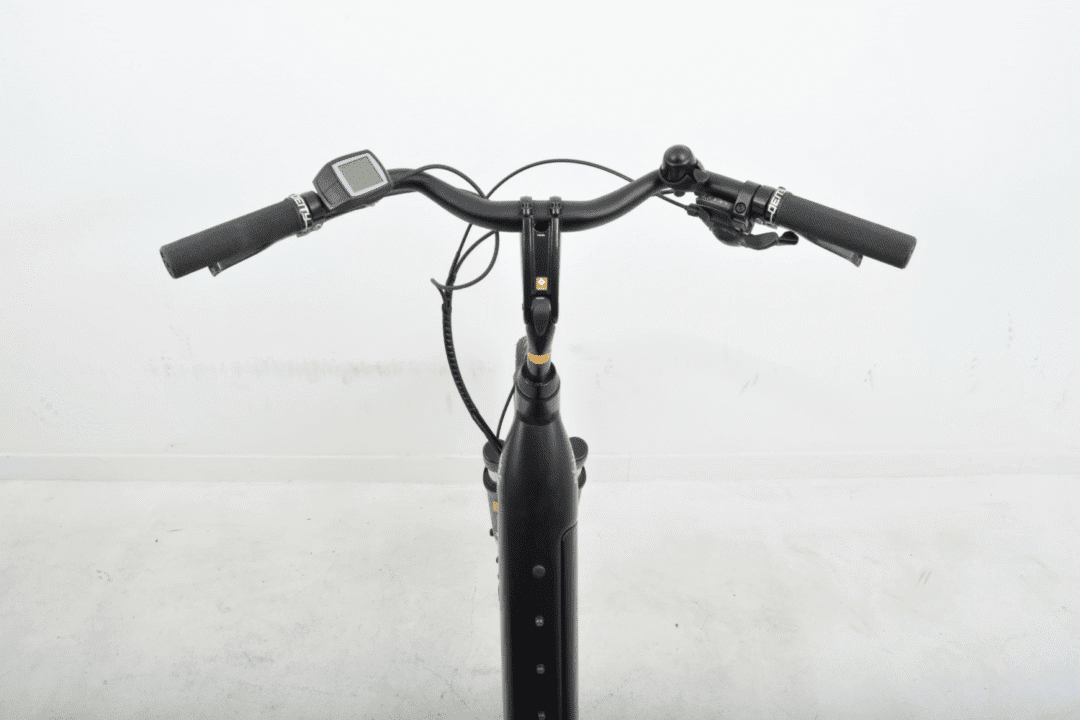 Trek Verve+3 400 wh Dames L