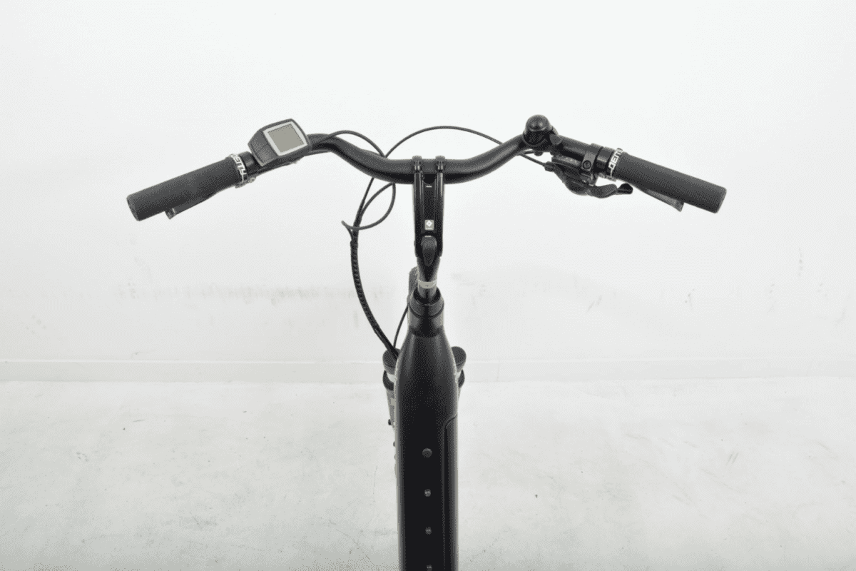 Trek Verve+3 400 wh Dames L