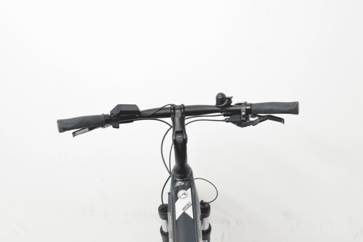 Gazelle Medeo T10 Unisex 55