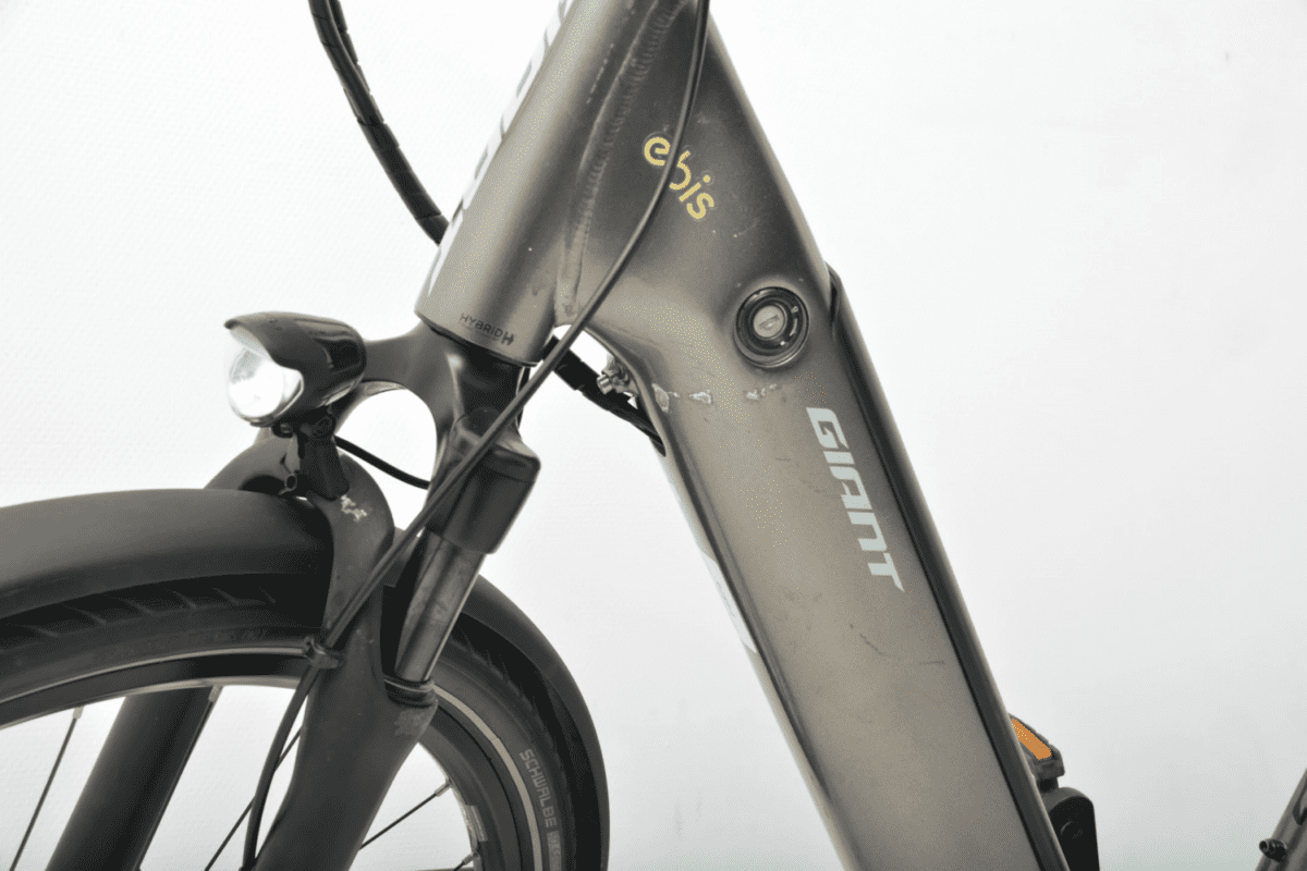 Giant Dailytour E+2D Evo