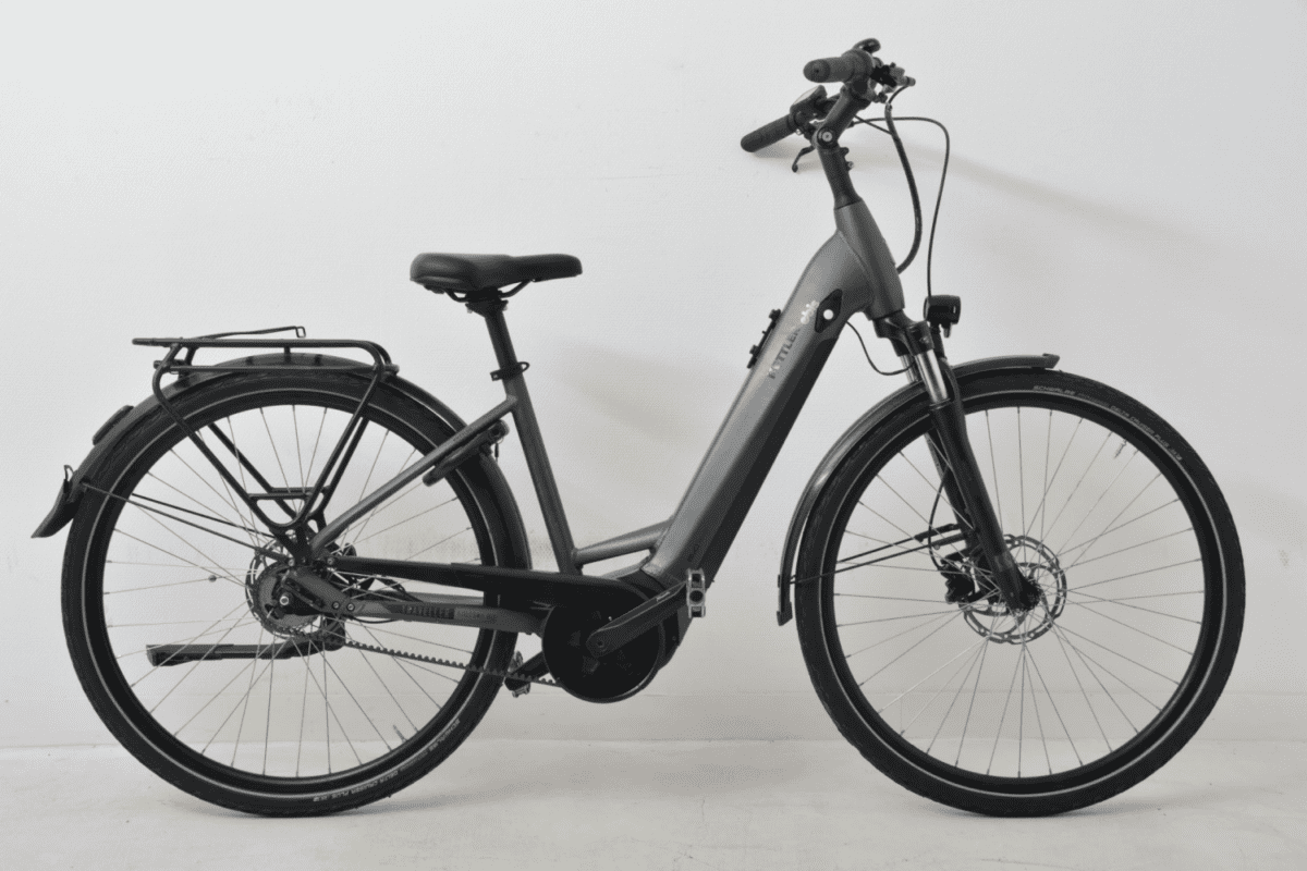 Kettler traveller e-gold 5 belt