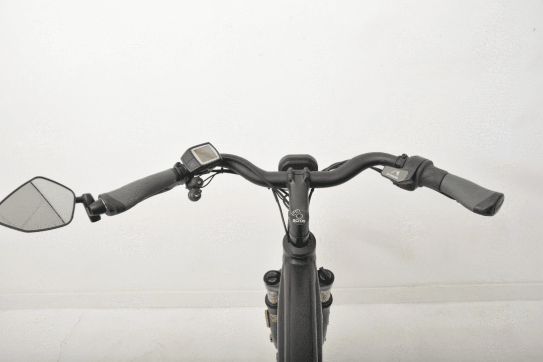 Riese & Muller roadster vario hs 625 wh