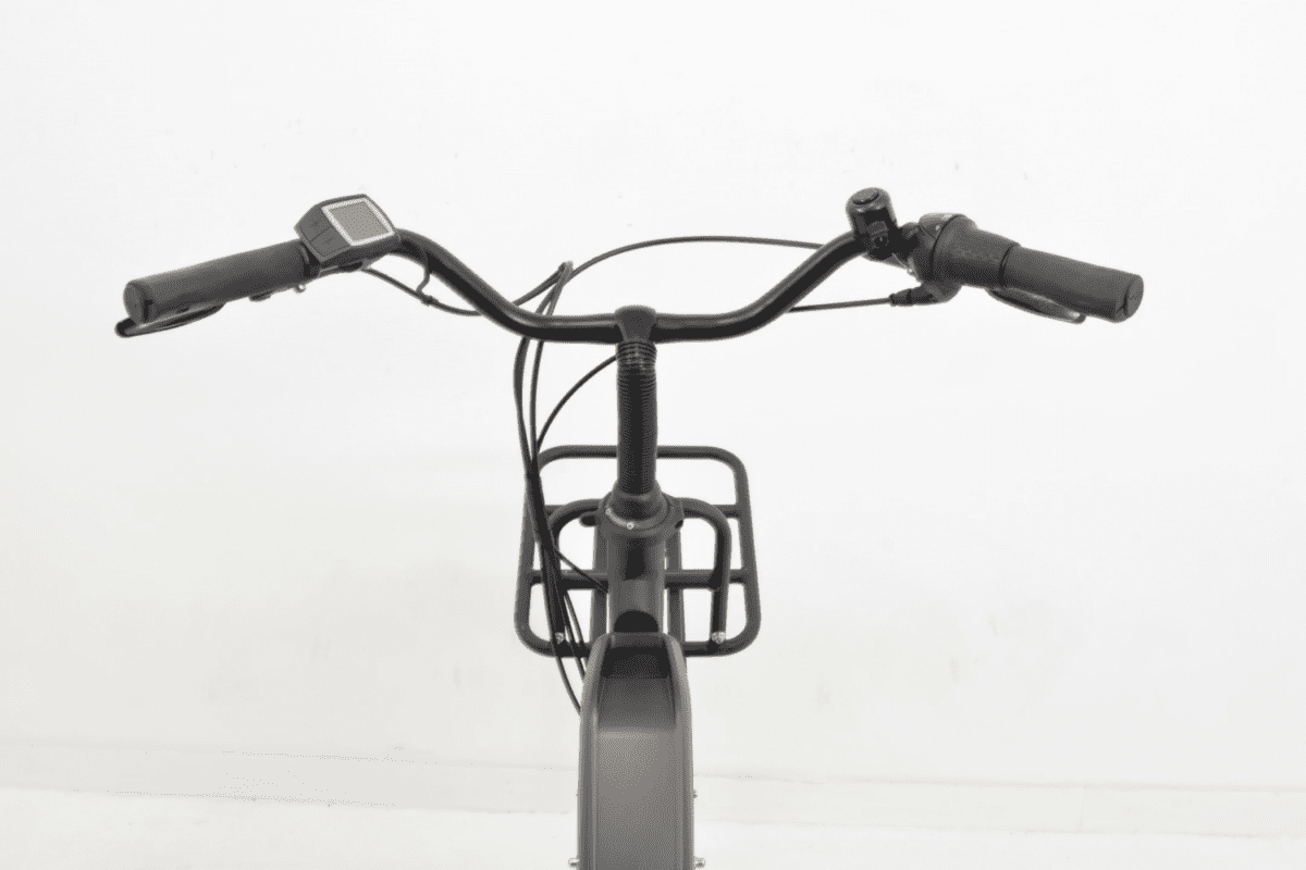 Batavus QUIP EXTRA CARGO E-GO