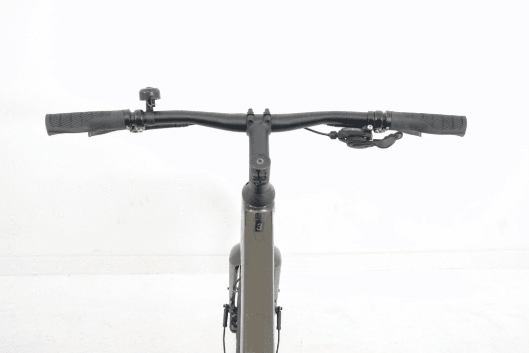 Trek Dual Sport 3