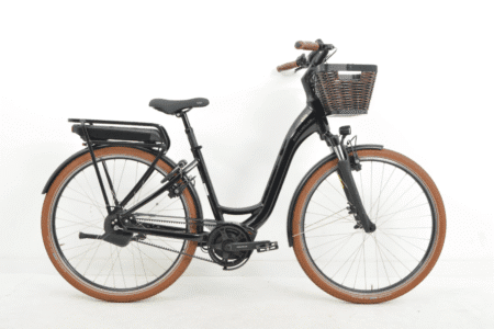 Riese & Muller Swing automatic