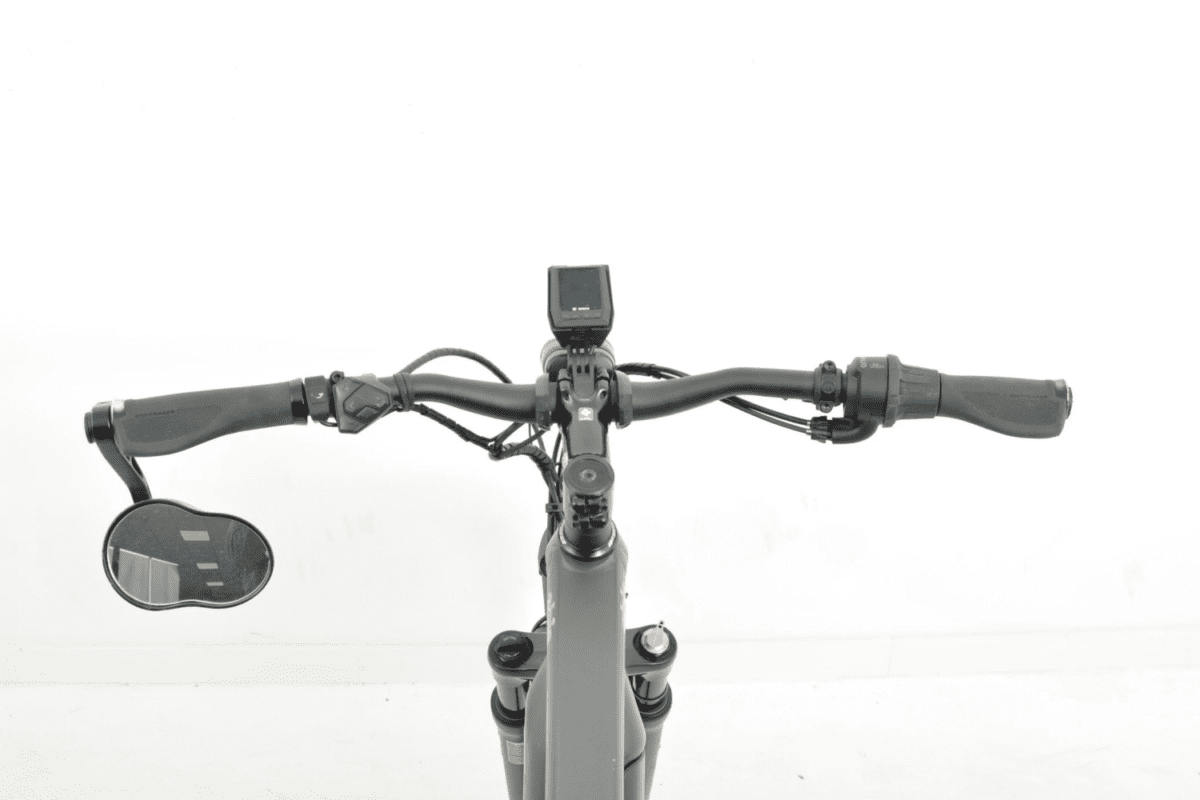Trek Alant