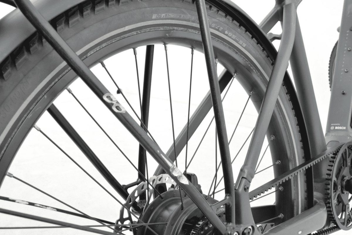 Trek Alant