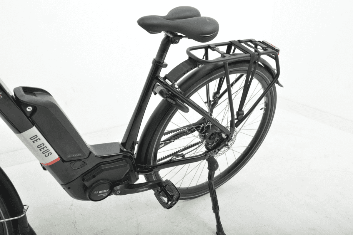 DEGEUS ELECTRICD