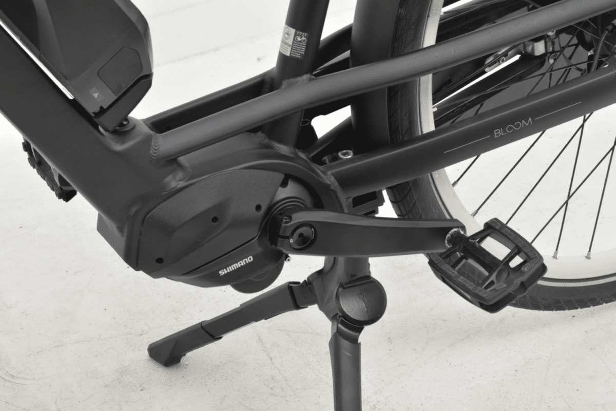 Gazelle Bloom C310
