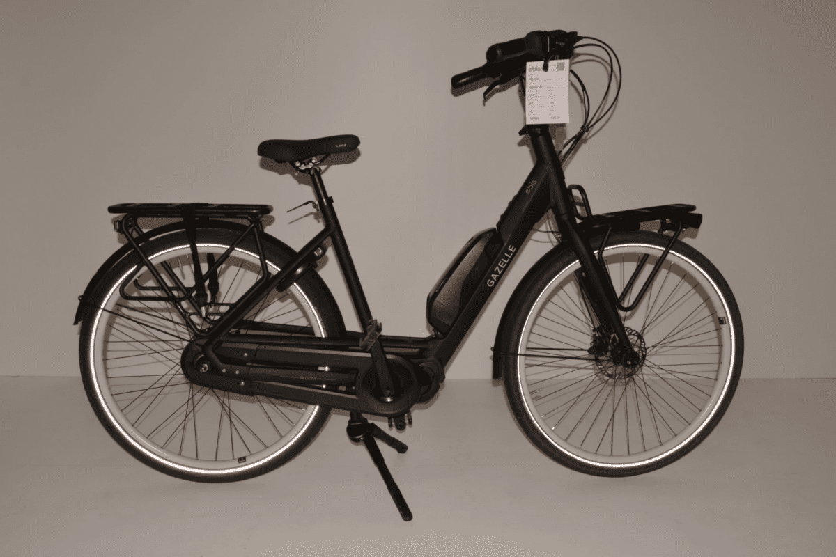 Gazelle Bloom C380