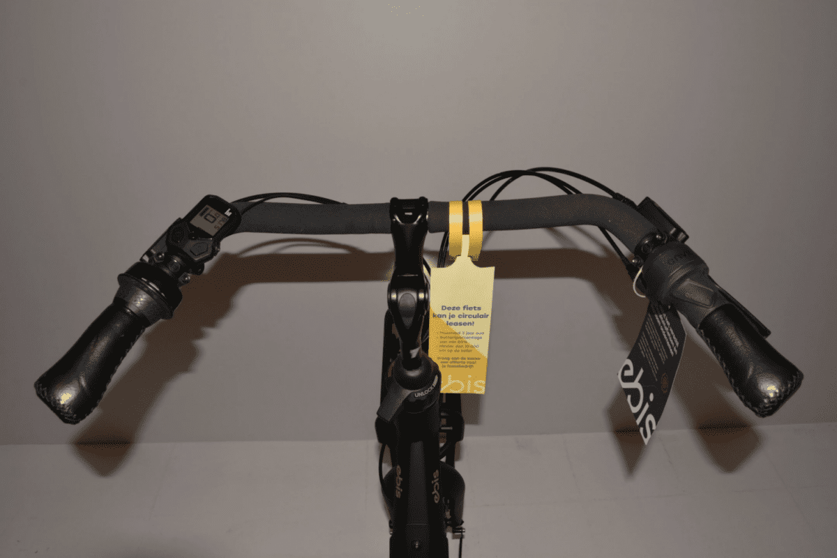 Gazelle Bloom C380