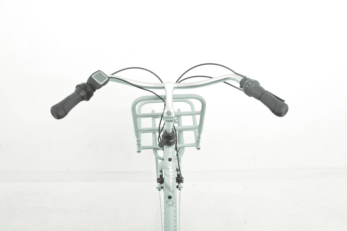 Gazelle Miss grace c7 hmb