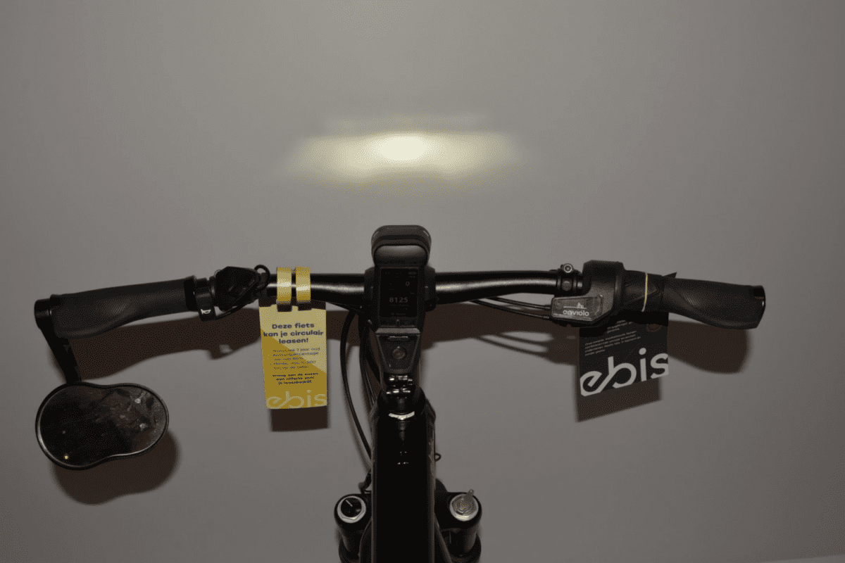 Trek Allant +