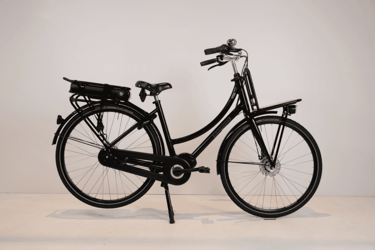 Batavus Packd Ego Plus