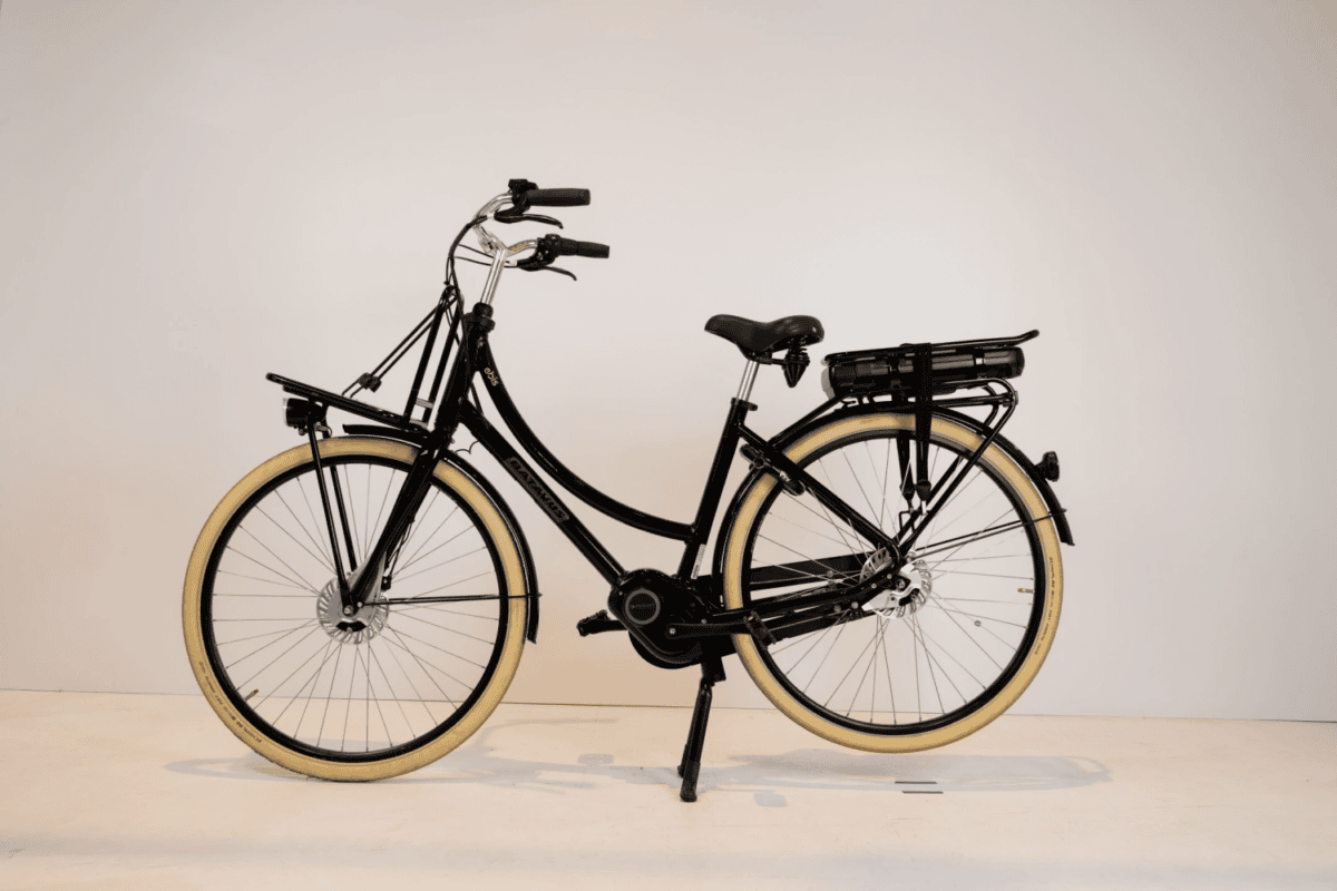 Batavus Packd Ego Plus