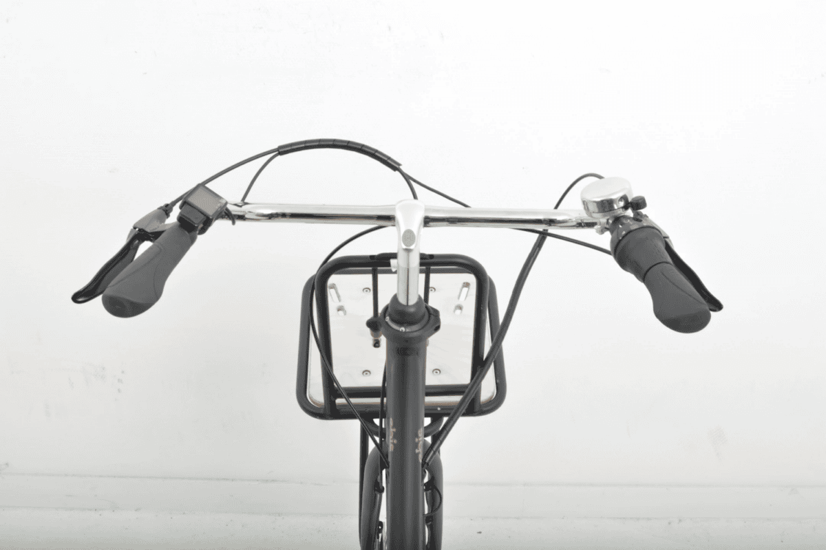 Batavus Packd Ego Plus Dames 55