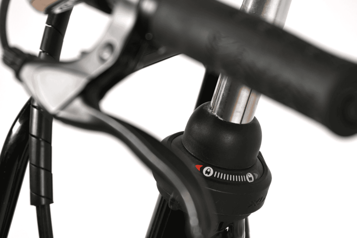 Batavus Packd Ego Plus Dames 49