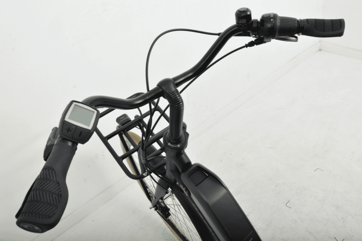 Batavus Quip Extra Cargo E-Go Plus Dames 55