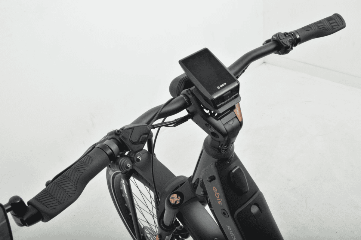 Riese & Muller Nevo GT Rohloff HS Dames 47