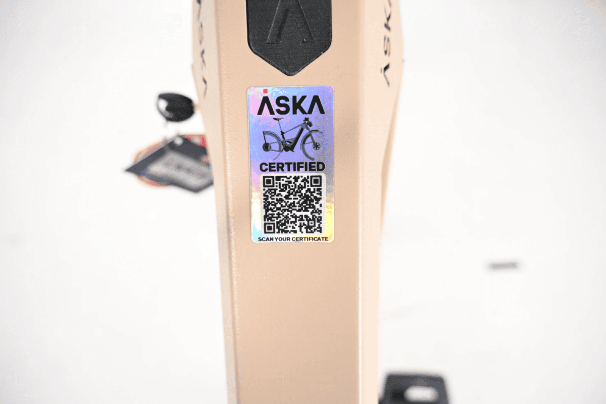 Aska Supercommuter Pinion C1.6 Unisex Onesize