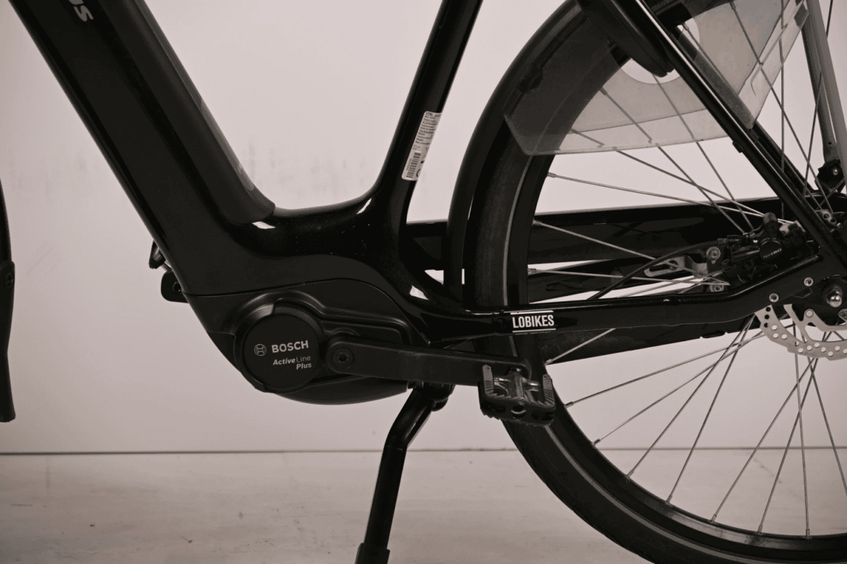 Batavus Finez e-go Power 57