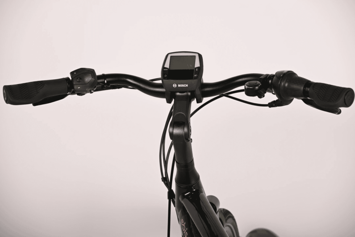 Batavus Finez e-go Power 57