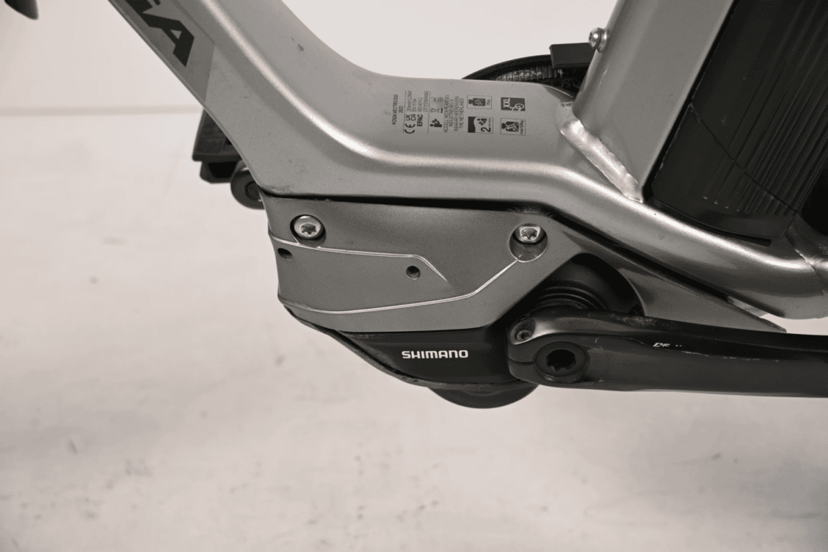 Koga Vectro S30 flex Dames XXL