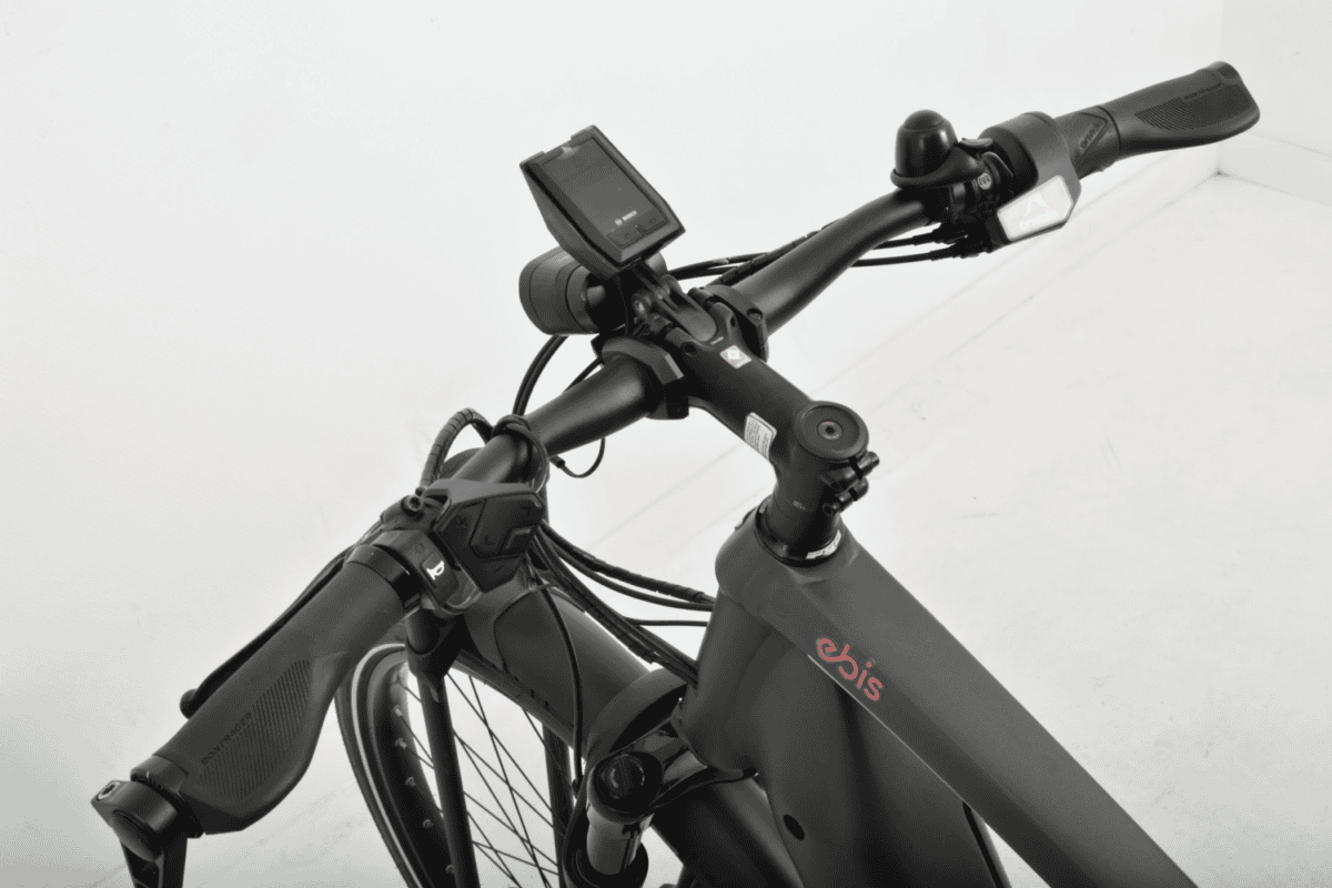 Trek 21 TREK ALLANT+ 9S