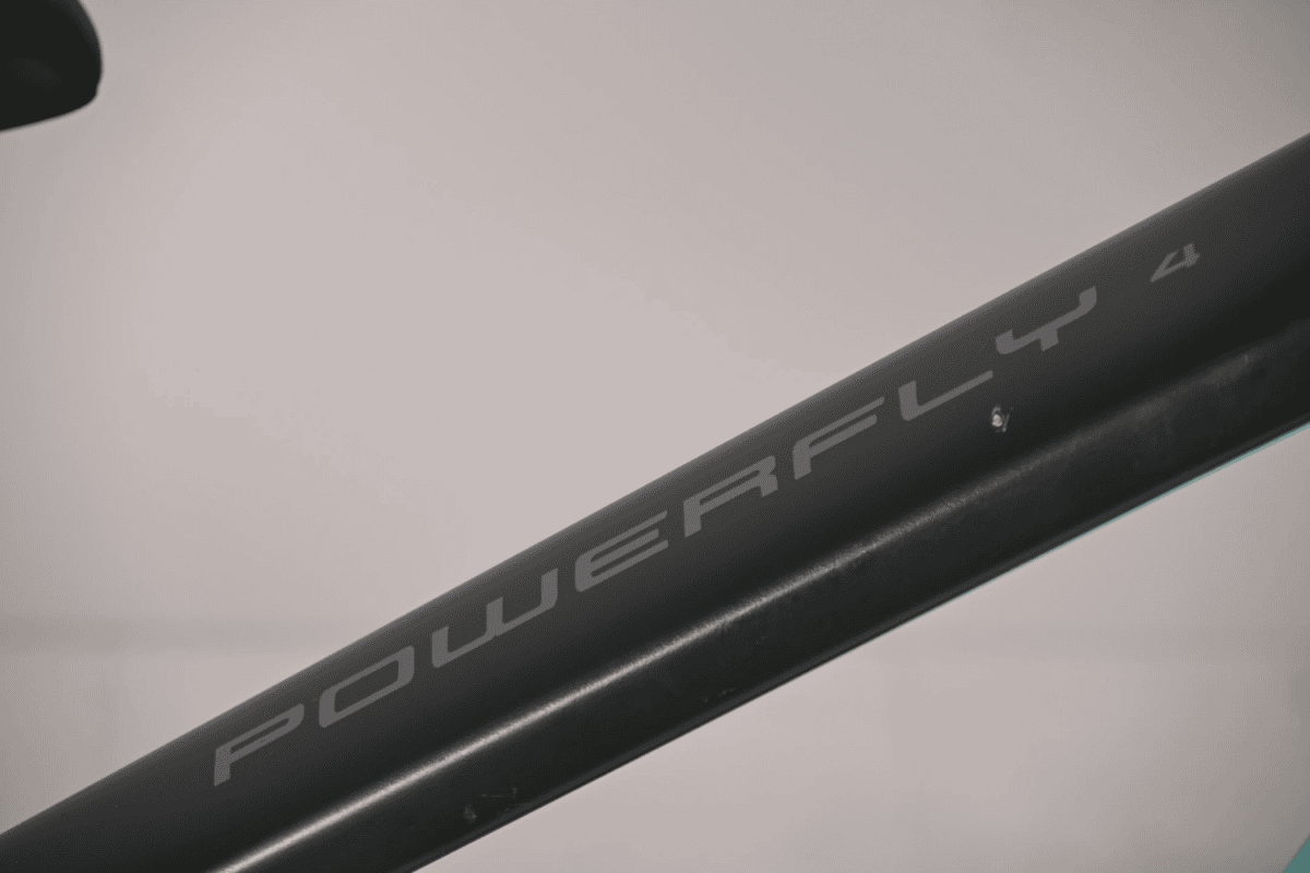 Trek Powerfly4 Heren L